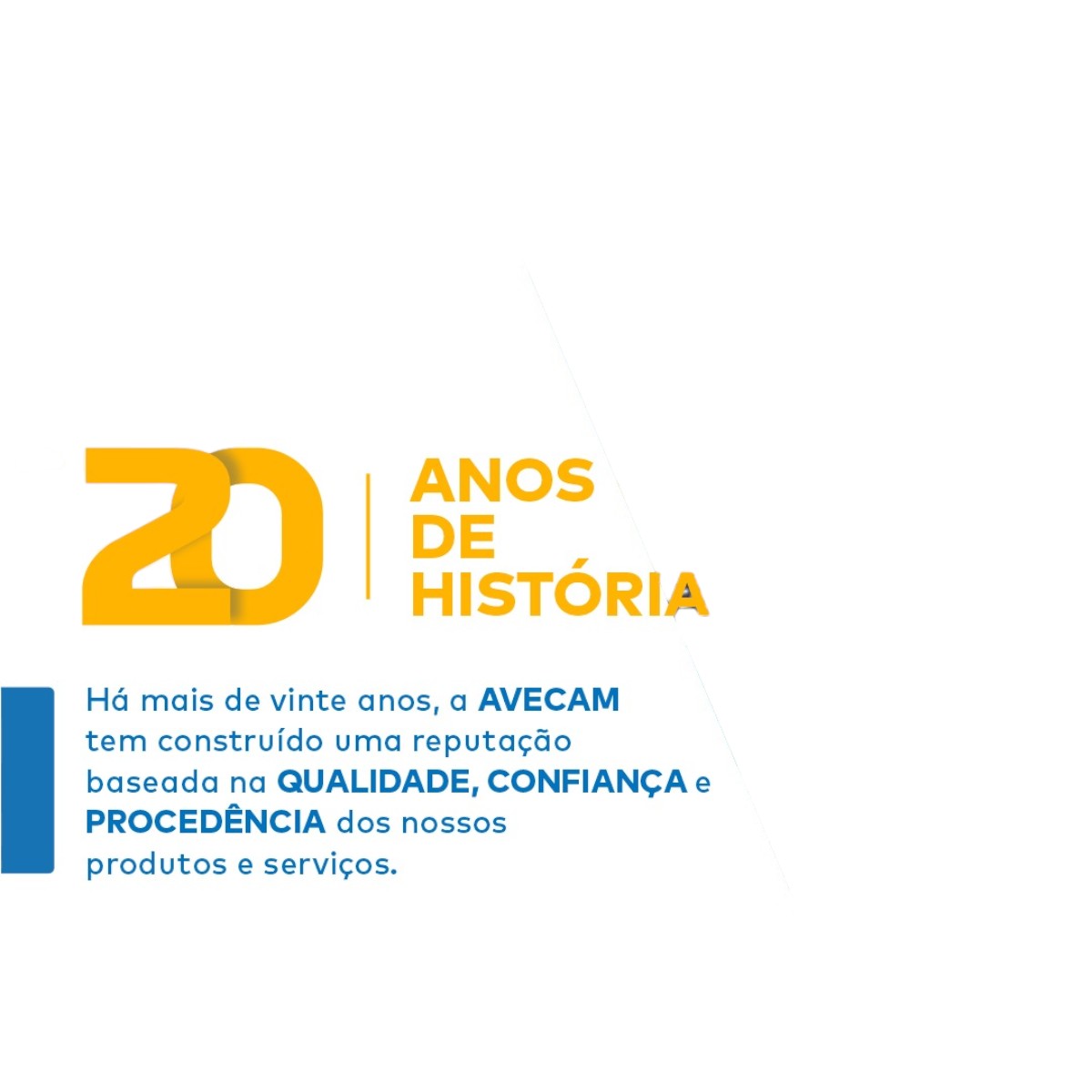 Protetor Superior da Coluna de Direção Le Original Ford