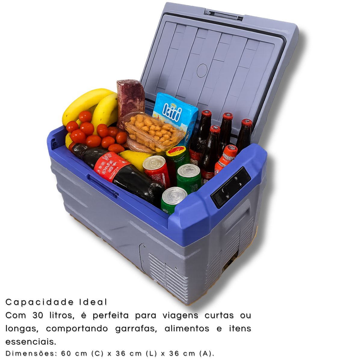 Geladeira Portátil 30l 12v 24v 110v 220v Caminhão Motorhome